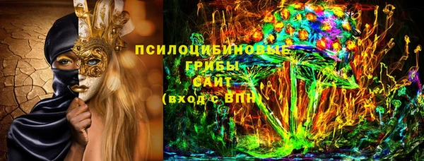 тгк Никольск