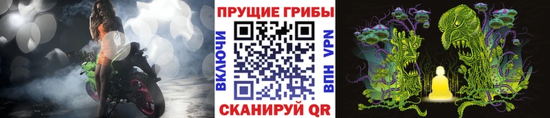 где продают   мориарти телеграм  Псилоцибиновые грибы Psilocybine cubensis  Агидель 